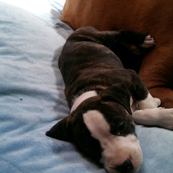 Meet your Posher, Laura - Picture 1 of 1